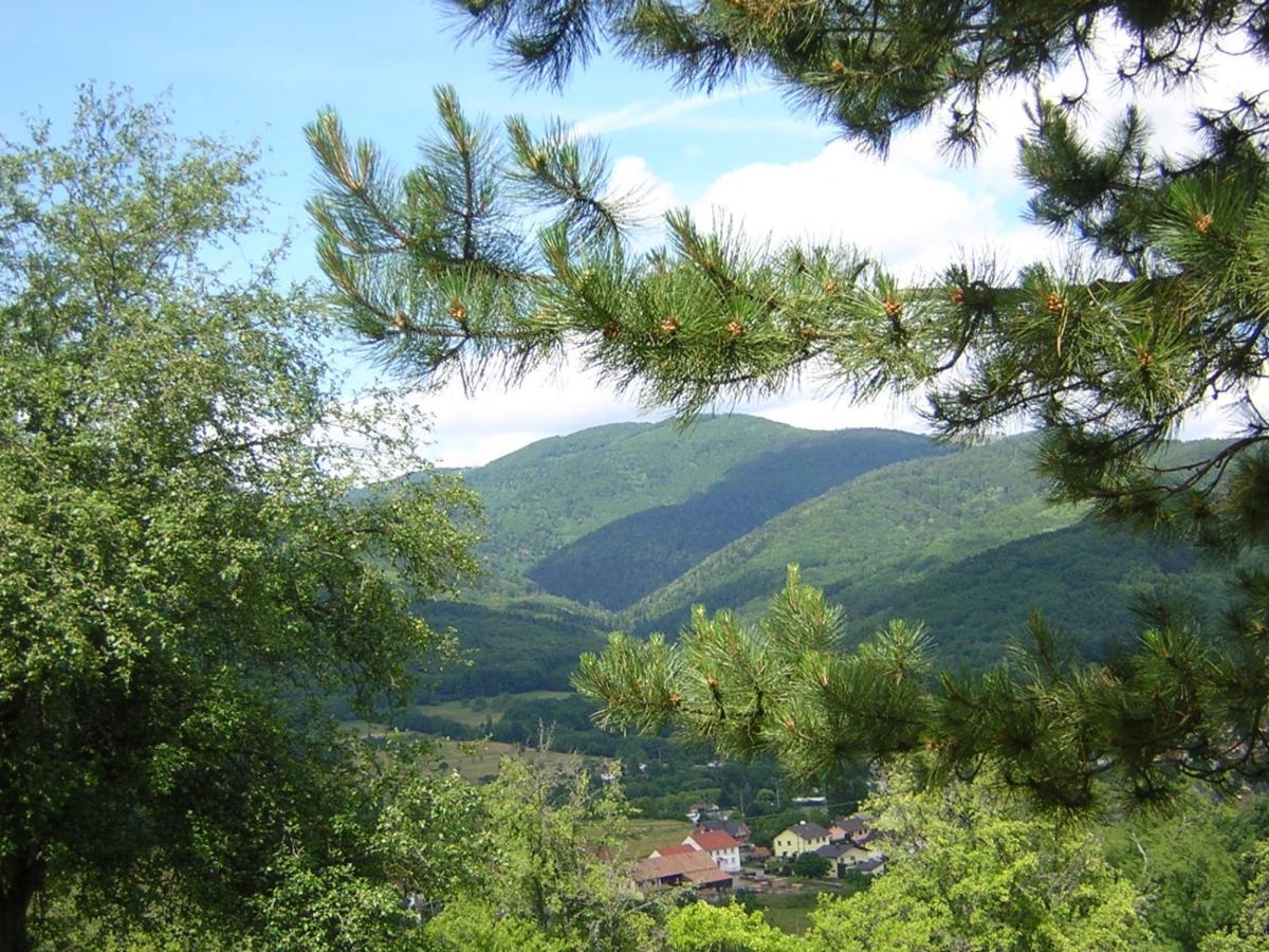 Gite Leonline Sur Les Hauteurs De Masevaux -Au Pied Des Vosges Eksteriør bilde