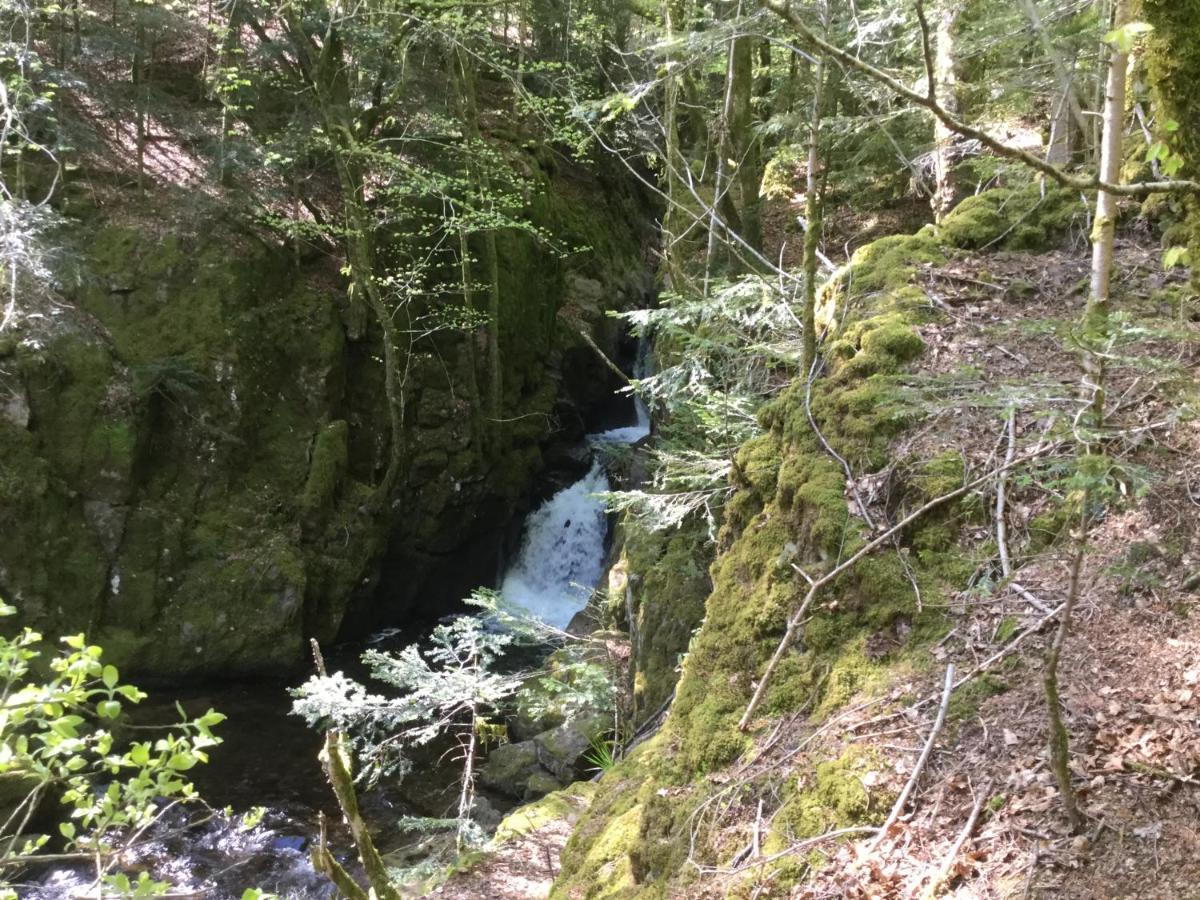Gite Leonline Sur Les Hauteurs De Masevaux -Au Pied Des Vosges Eksteriør bilde
