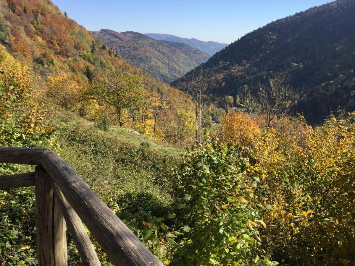 Gite Leonline Sur Les Hauteurs De Masevaux -Au Pied Des Vosges Eksteriør bilde