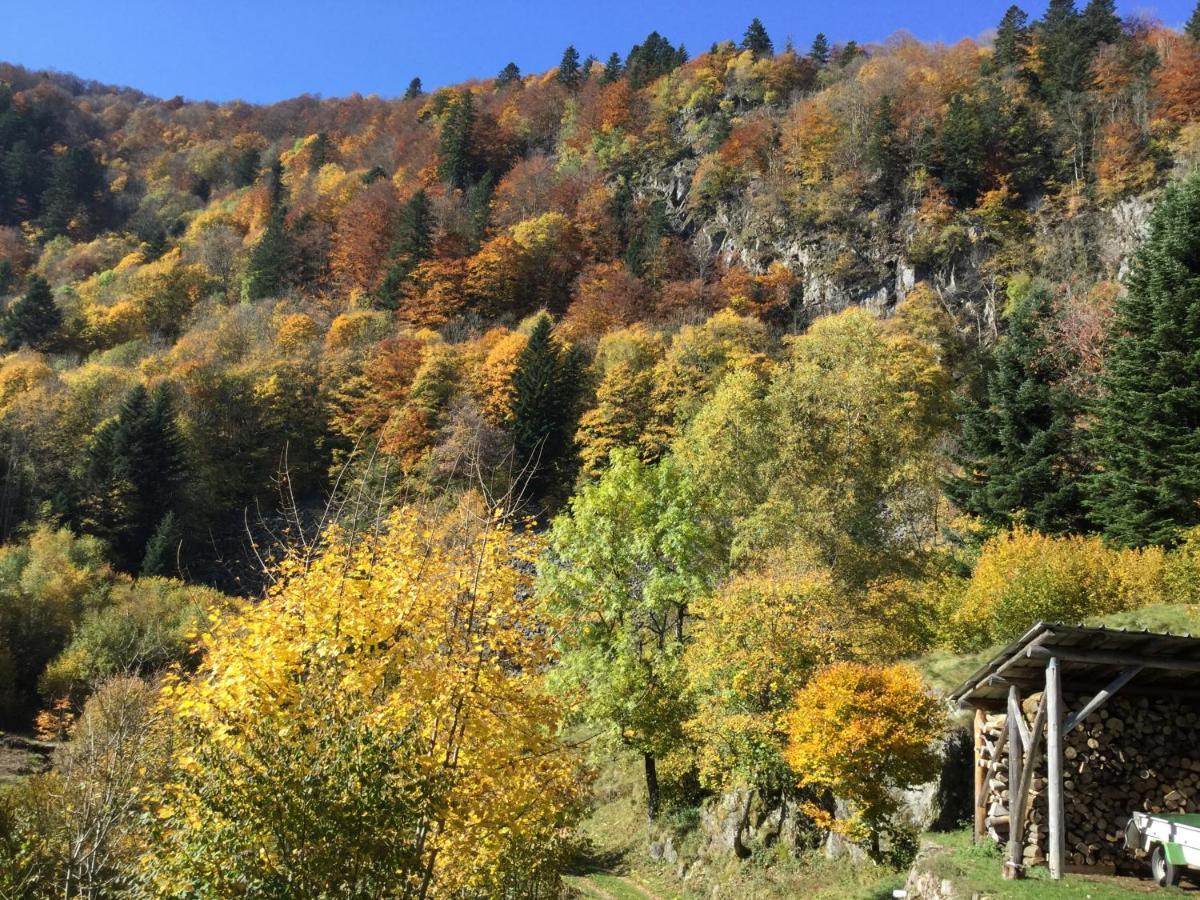 Gite Leonline Sur Les Hauteurs De Masevaux -Au Pied Des Vosges Eksteriør bilde