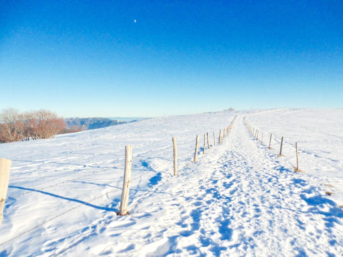 Gite Leonline Sur Les Hauteurs De Masevaux -Au Pied Des Vosges Eksteriør bilde