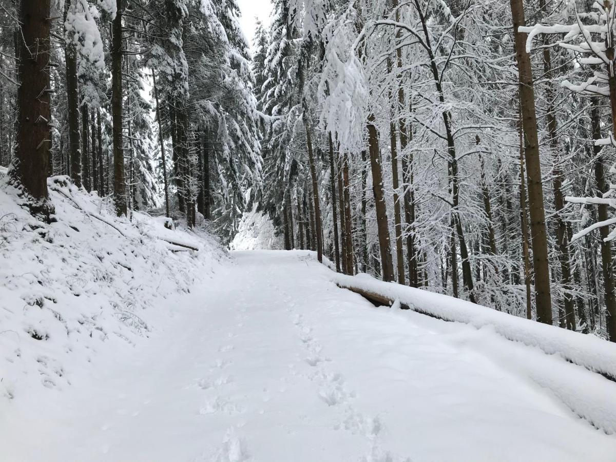Gite Leonline Sur Les Hauteurs De Masevaux -Au Pied Des Vosges Eksteriør bilde
