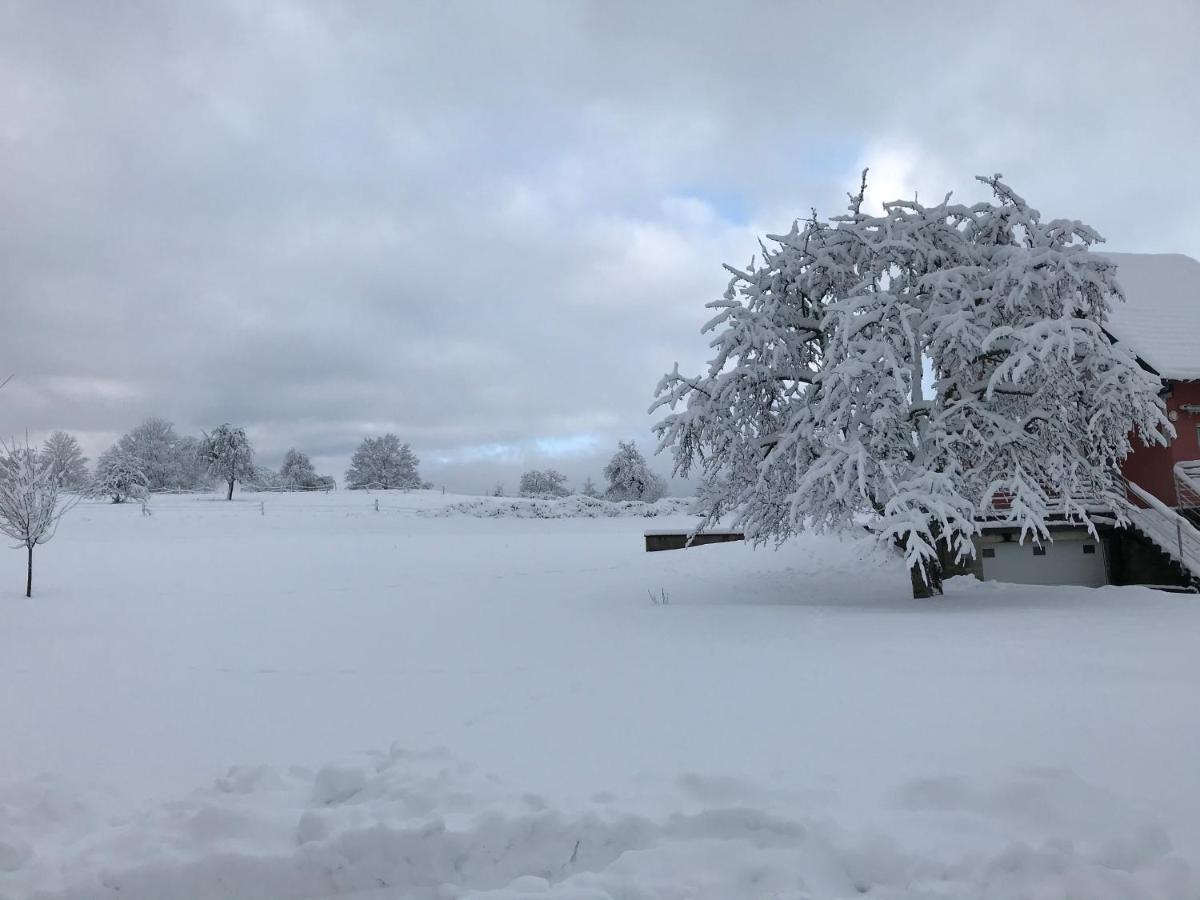 Gite Leonline Sur Les Hauteurs De Masevaux -Au Pied Des Vosges Eksteriør bilde